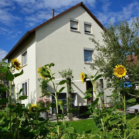 Ferienwohnung - Damisa House Metzingen  Kültér fotó