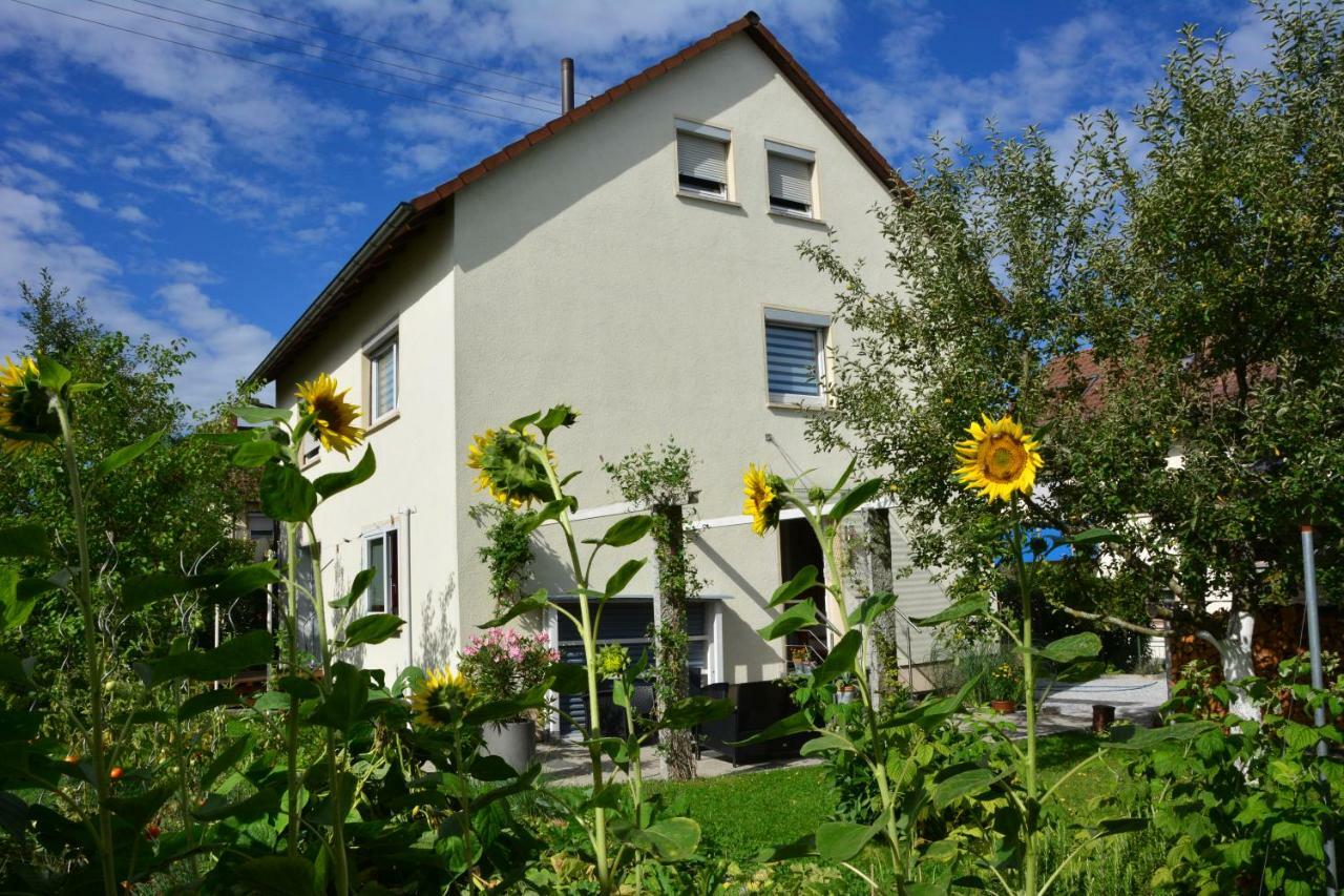 Ferienwohnung - Damisa House Metzingen  Kültér fotó